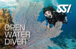 SSI Open Water Diver Kurs Komfort